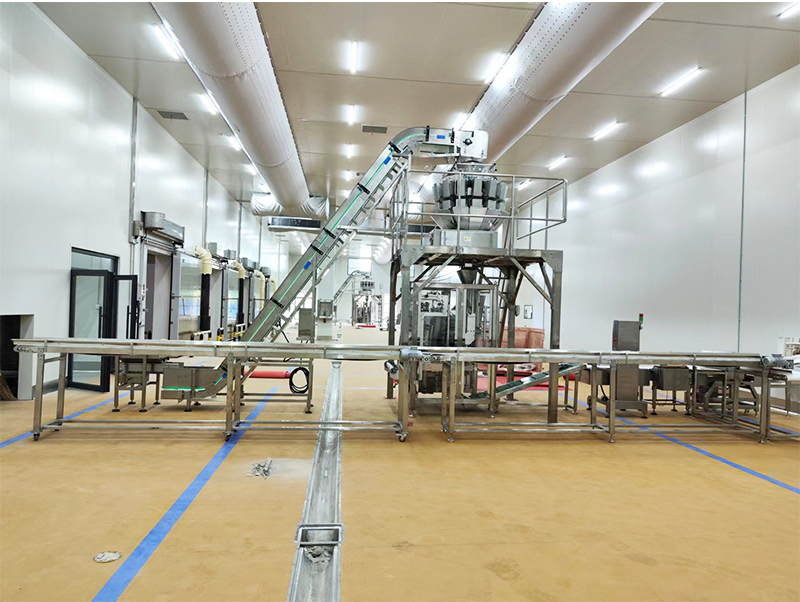 دستگاه بسته بندی اتوماتیک مواد غذایی فورزن