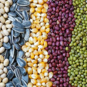 دستگاه بسته بندی بذر اتوماتیک